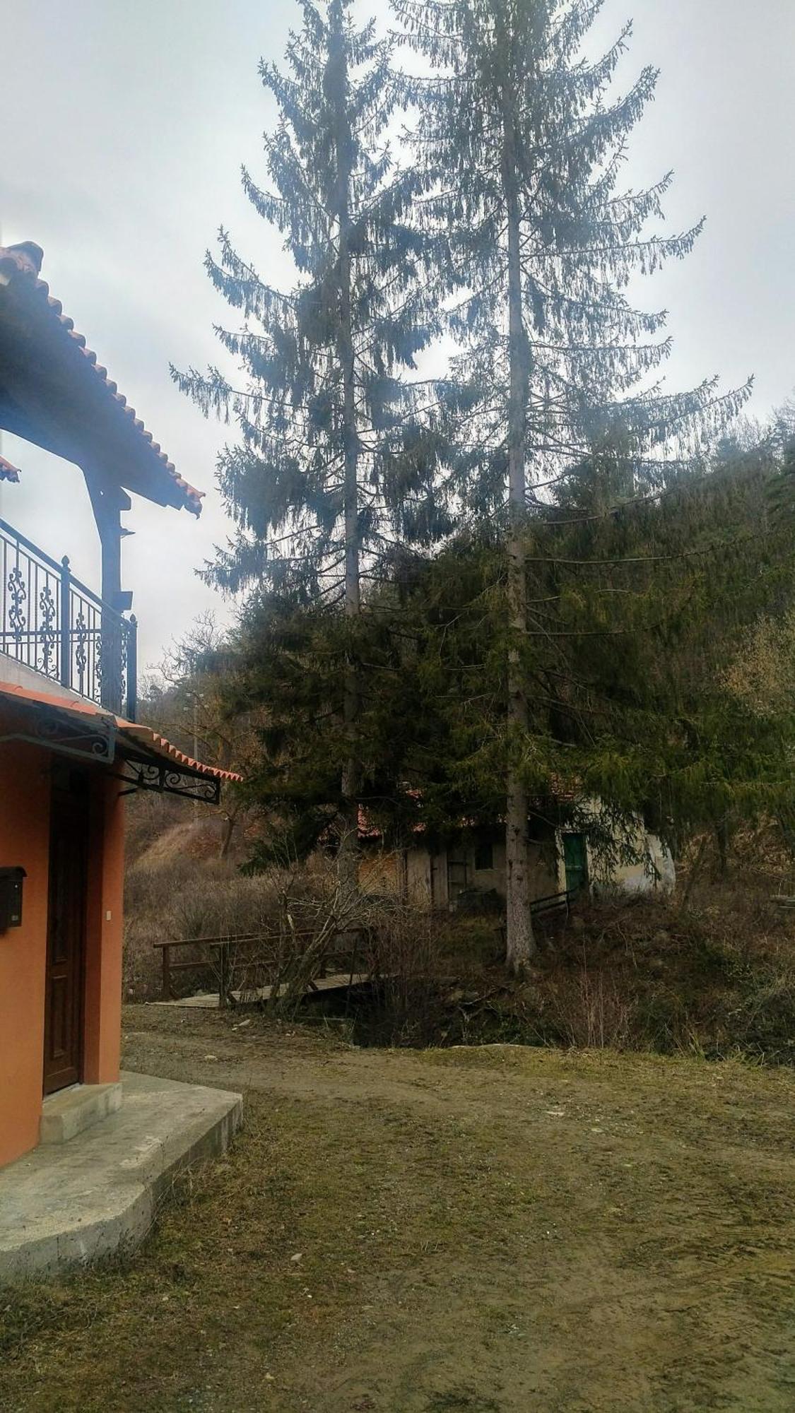 Giusvalla Forest Village Dego エクステリア 写真