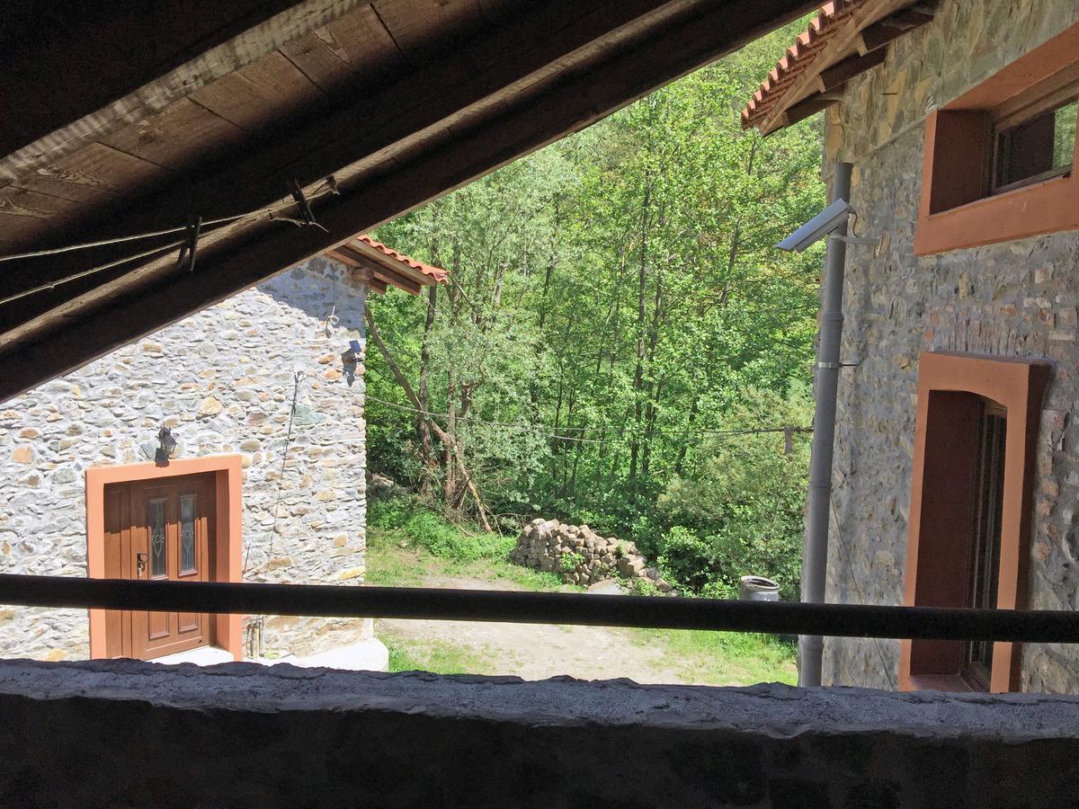 Giusvalla Forest Village Dego 部屋 写真