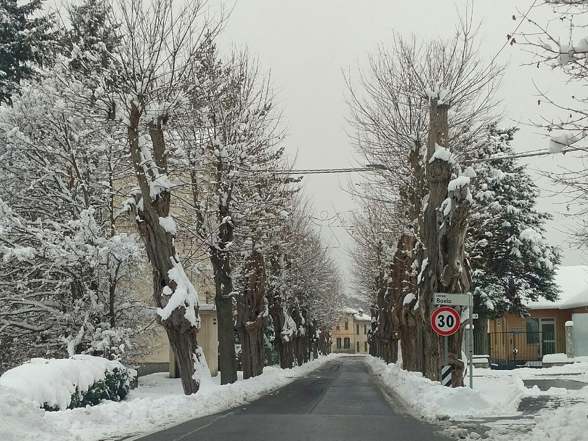 Giusvalla Forest Village Dego エクステリア 写真