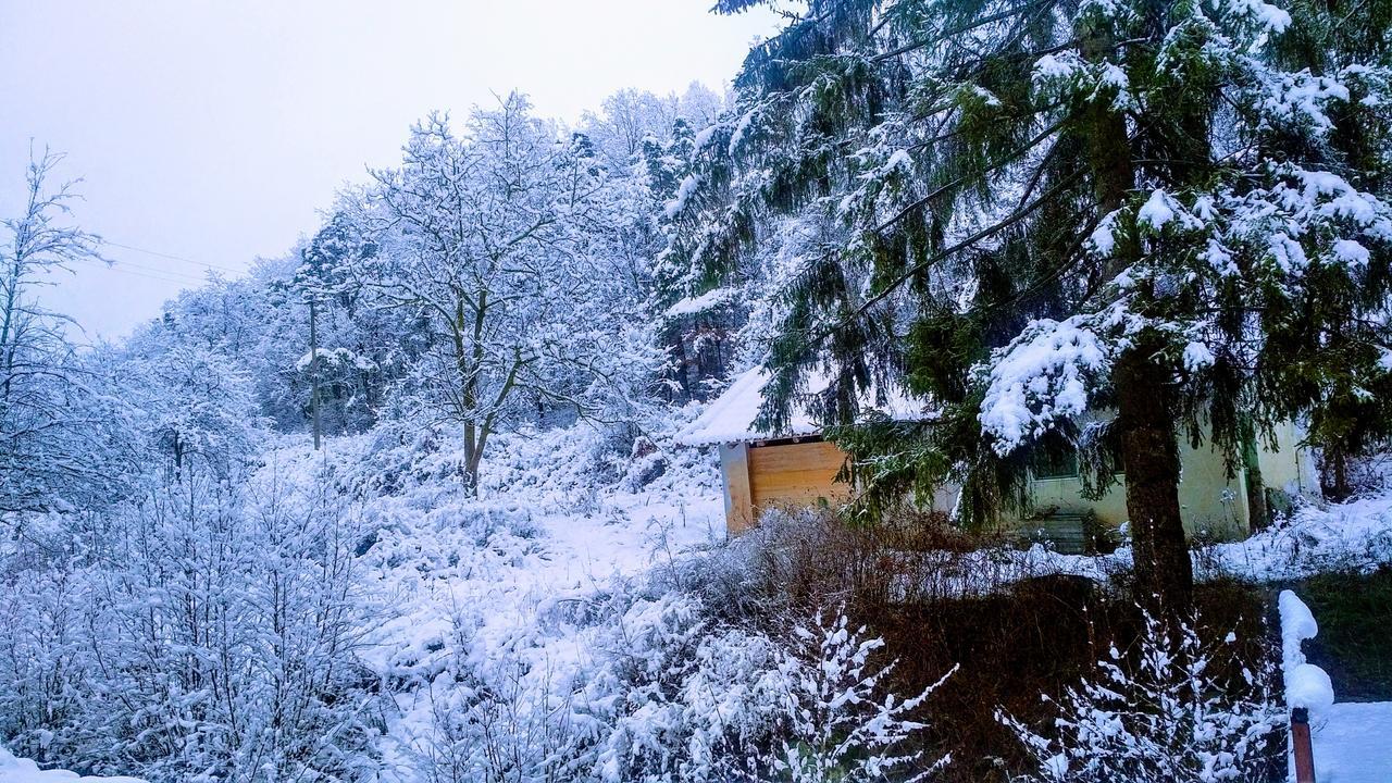 Giusvalla Forest Village Dego エクステリア 写真